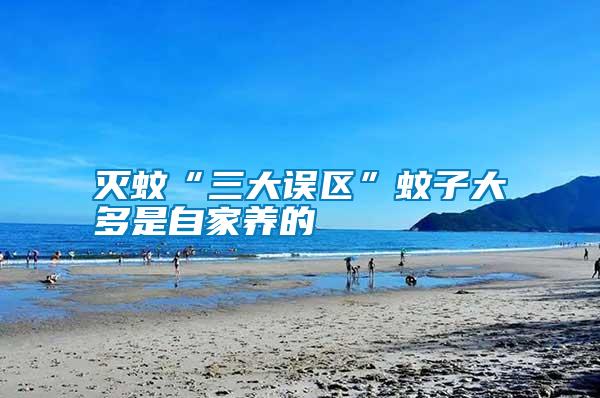 滅蚊“三大誤區”蚊子大多是自家養的