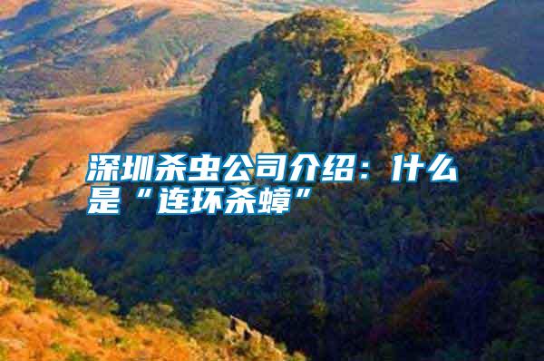 深圳殺蟲公司介紹:什么是“連環殺蟑”