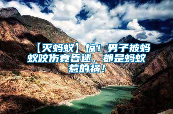 【滅螞蟻】驚！男子被螞蟻咬傷竟昏迷，都是螞蟻惹的禍！