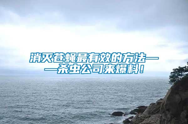 消滅蒼蠅最有效的方法——殺蟲公司來爆料!