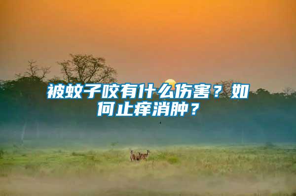 被蚊子咬有什么傷害？如何止癢消腫？