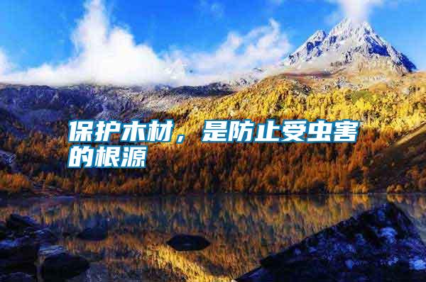 保護木材,是防止受蟲害的根源