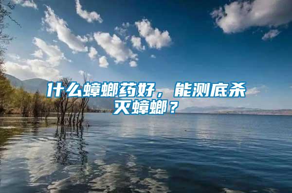什么蟑螂藥好,能測底殺滅蟑螂?