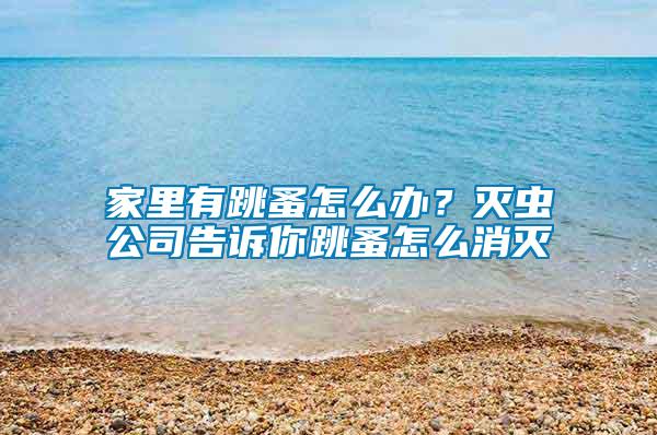 家里有跳蚤怎么辦?滅蟲公司告訴你跳蚤怎么消滅