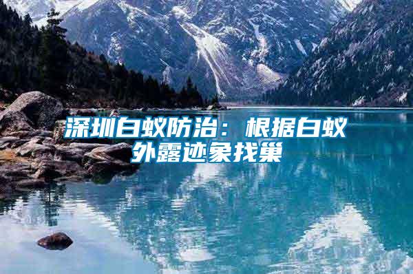 深圳白蟻防治:根據白蟻外露跡象找巢