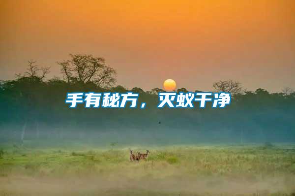 手有秘方,滅蟻干凈