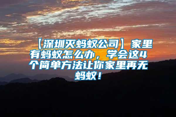 【深圳滅螞蟻公司】家里有螞蟻怎么辦,學會這4個簡單方法讓你家里再無螞蟻!