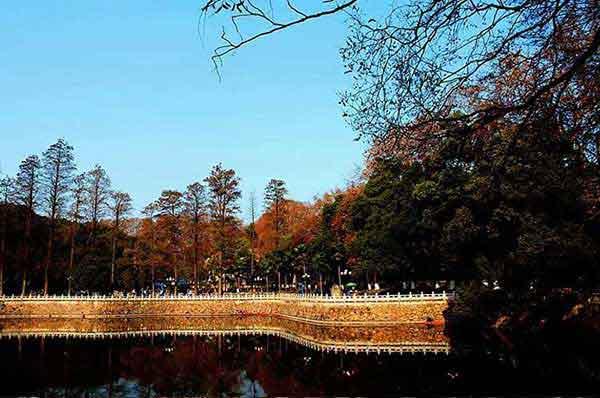 簡(jiǎn)述深圳滅跳蚤的常用方法！