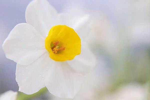 滅治白蟻不能盲目用殺蟲(chóng)劑