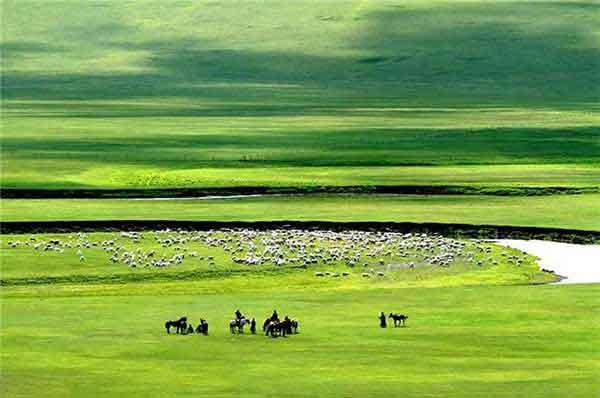 深圳家庭殺臭蟲服務(wù)價格，公司上門殺一次臭蟲多少錢？