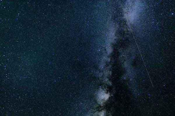 專業滅跳蚤,止癢除跳蚤， 古法新法一起用