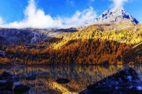 蟑螂怎么消滅？你只需記住這兩招！