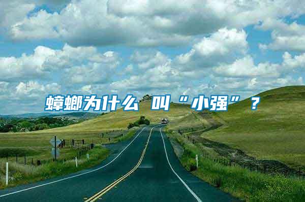 蟑螂為什么 叫“小強”？