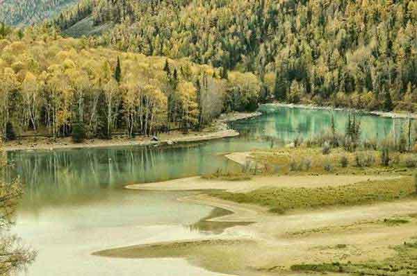 家里有臭蟲怎么消滅？被臭蟲咬了怎么辦？這些方法請收好！