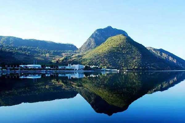 選擇殺蟲(chóng)公司的關(guān)鍵點(diǎn)在哪里