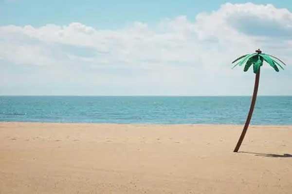 蟑螂為什么繁殖的那么快?