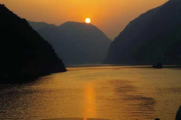 滅蟲公司，大家都需要