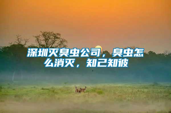 深圳滅臭蟲公司，臭蟲怎么消滅，知己知彼