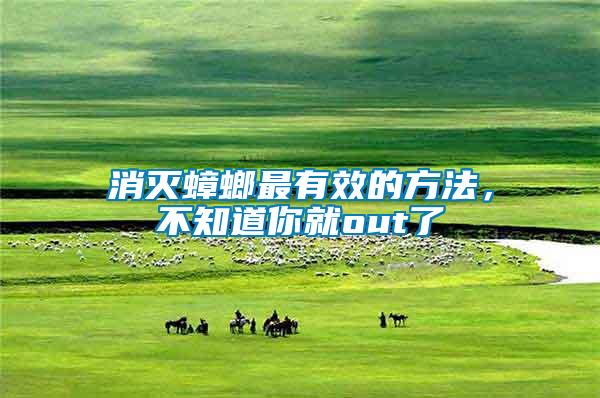 消滅蟑螂最有效的方法，不知道你就out了