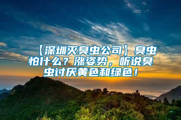 【深圳滅臭蟲公司】臭蟲怕什么？漲姿勢，聽說臭蟲討厭黃色和綠色！
