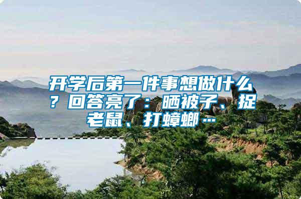 開學后第一件事想做什么？回答亮了：曬被子、捉老鼠、打蟑螂…