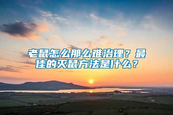 老鼠怎么那么難治理？最佳的滅鼠方法是什么？