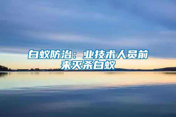 白蟻防治:業技術人員前來滅殺白蟻
