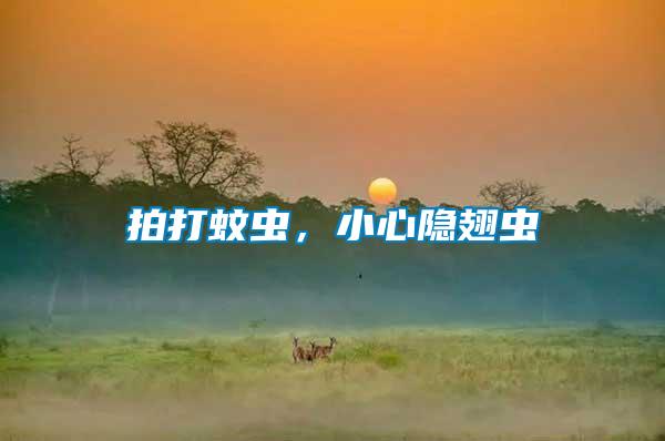 拍打蚊蟲，小心隱翅蟲