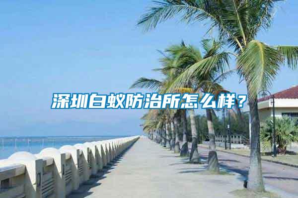 深圳白蟻防治所怎么樣?