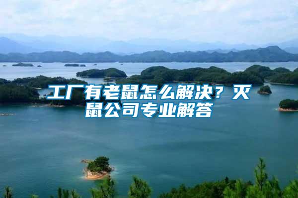 工廠有老鼠怎么解決？滅鼠公司專業解答