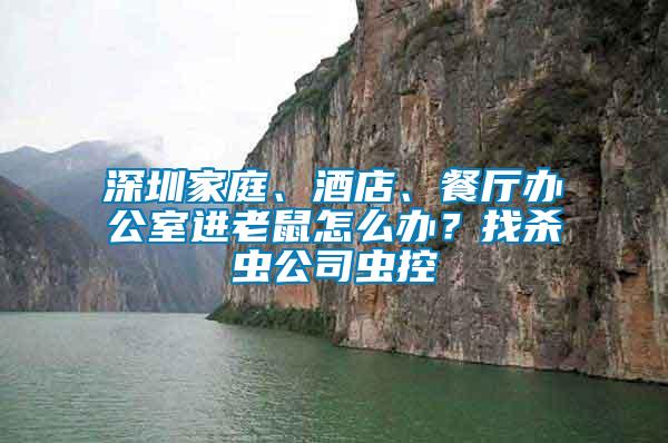 深圳家庭、酒店、餐廳辦公室進老鼠怎么辦？找殺蟲公司蟲控
