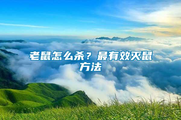 老鼠怎么殺?最有效滅鼠方法