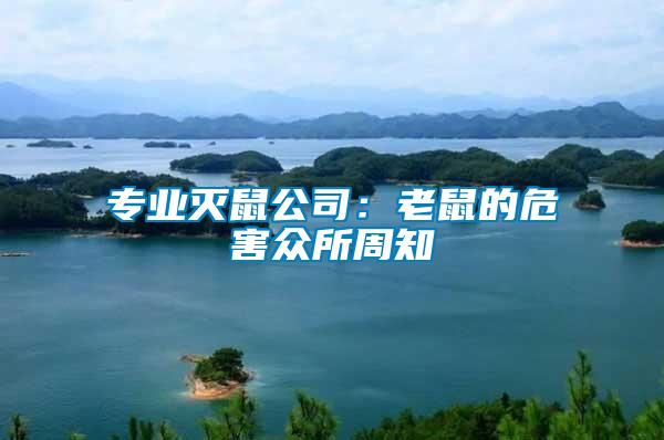 專業(yè)滅鼠公司:老鼠的危害眾所周知