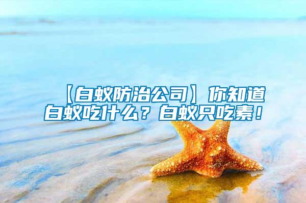 【白蟻防治公司】你知道白蟻吃什么?白蟻只吃素!