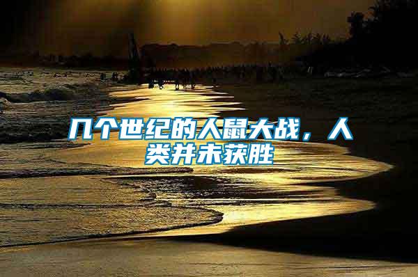 幾個世紀的人鼠大戰，人類并未獲勝