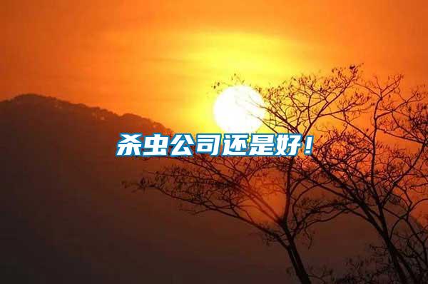 殺蟲公司還是好!