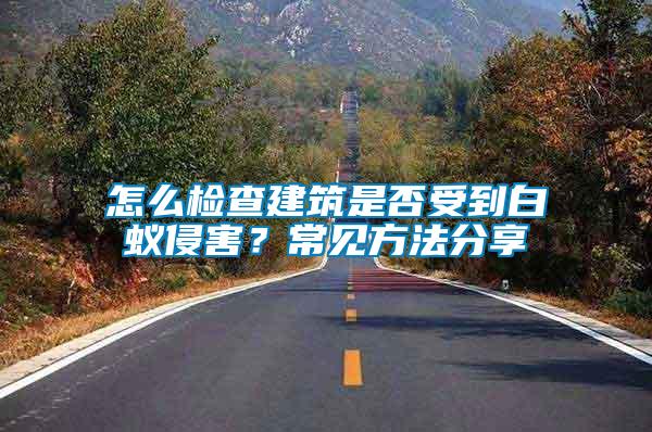 怎么檢查建筑是否受到白蟻侵害？常見方法分享