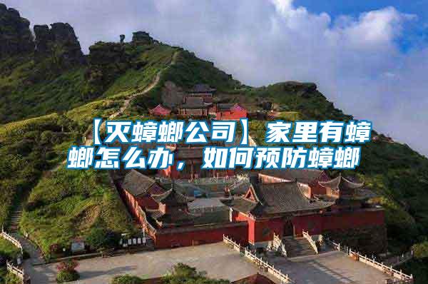 【滅蟑螂公司】家里有蟑螂怎么辦,如何預防蟑螂