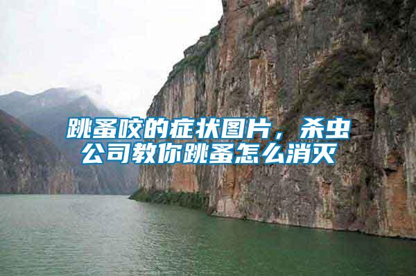 跳蚤咬的癥狀圖片,殺蟲公司教你跳蚤怎么消滅