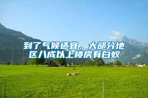 到了氣候適宜,大部分地區(qū)八成以上樓房有白蟻