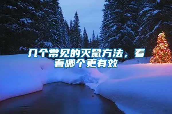 幾個常見的滅鼠方法,看看哪個更有效