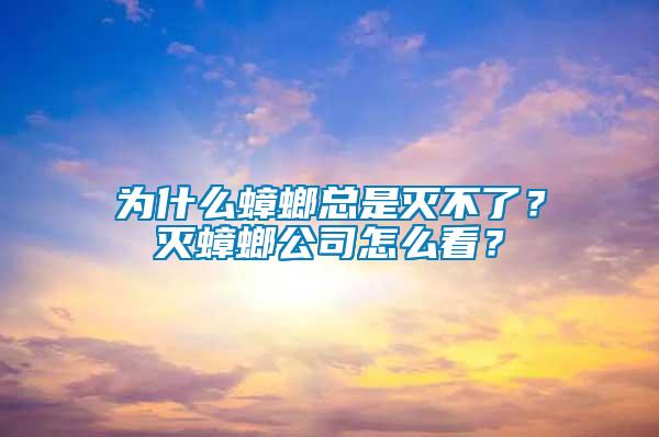 為什么蟑螂總是滅不了?滅蟑螂公司怎么看?