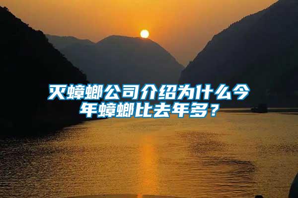 滅蟑螂公司介紹為什么今年蟑螂比去年多?
