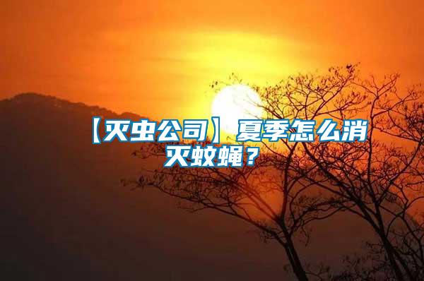 【滅蟲公司】夏季怎么消滅蚊蠅?