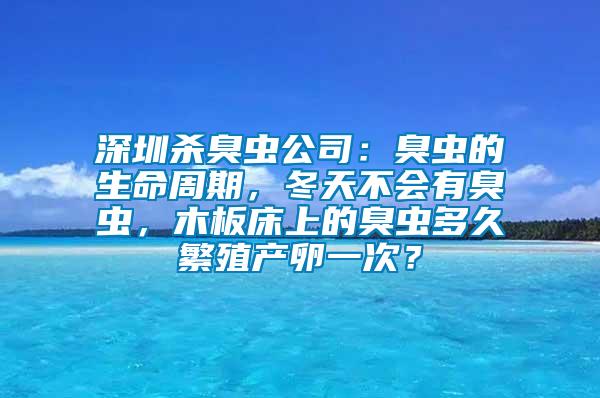 深圳殺臭蟲公司：臭蟲的生命周期，冬天不會有臭蟲，木板床上的臭蟲多久繁殖產卵一次？