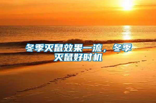 冬季滅鼠效果一流,冬季滅鼠好時機