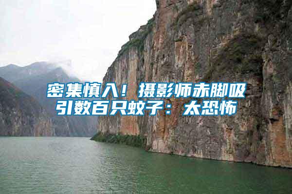 密集慎入！攝影師赤腳吸引數(shù)百只蚊子：太恐怖