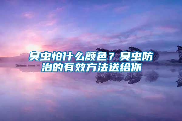 臭蟲怕什么顏色?臭蟲防治的有效方法送給你