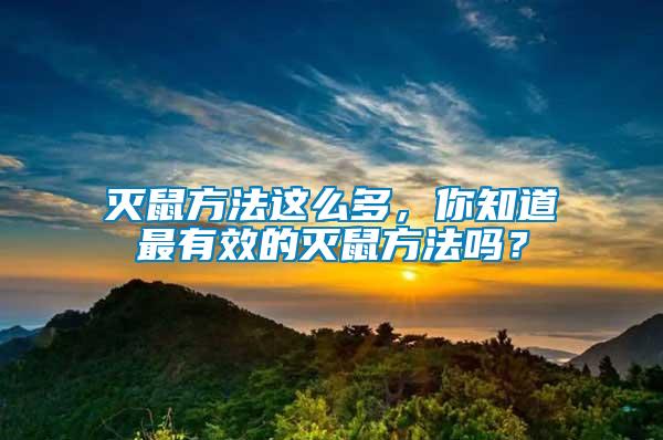 滅鼠方法這么多，你知道最有效的滅鼠方法嗎？