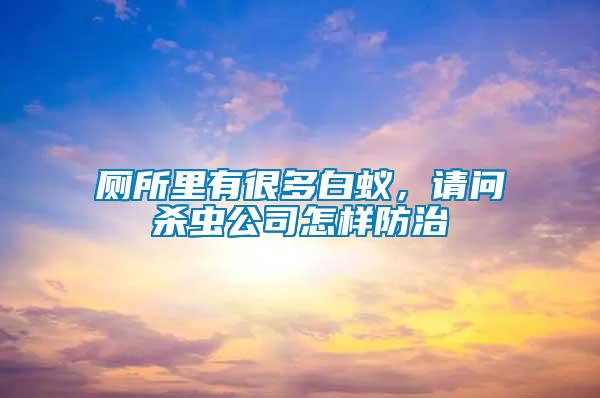 廁所里有很多白蟻，請問殺蟲公司怎樣防治